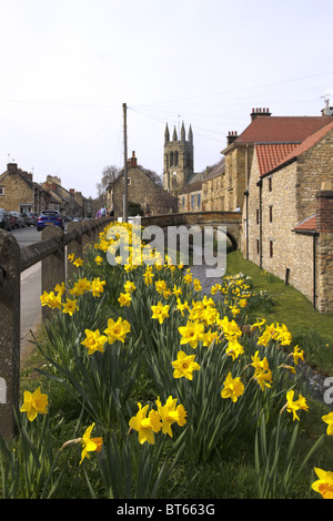 Narzissen, die alle Heiligen Kirche HELMSLEY YORKSHIRE HELMSLEY NORTH YORKSHIRE ENGLAND HELMSLEY NORTH YORKSHIRE 10. April 2010 Stockfoto