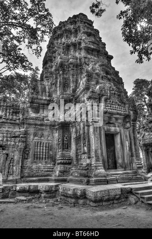 Ta Prohm Tempel, Angkor Wat, Kambodscha Stockfoto