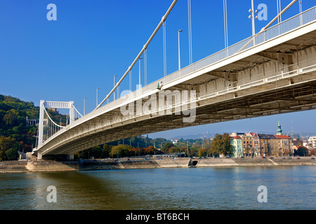 Elizabeth Hängebrücke, (Erzsébet híd). Budapest, Ungarn Stockfoto