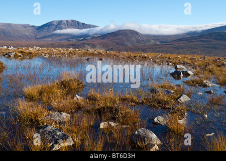 Ein Schuss von den Flanken des Canisp in Richtung Conival und Ben mehr Assynt Ausschau Stockfoto