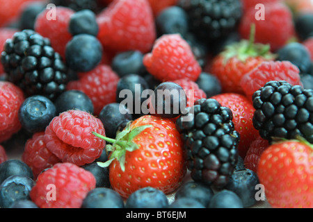 Erdbeeren Heidelbeeren Himbeeren und Brombeeren Stockfoto