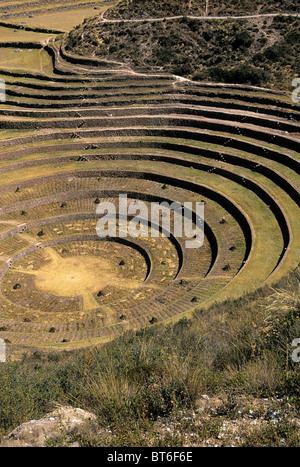Inka landwirtschaftlichen Terrassen am Moray in Sacred Valley-Peru Stockfoto