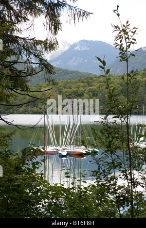 Segelboote auf See Bohinj, Slowenien. Stockfoto