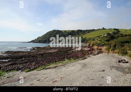 Felsen und niedrigen Gezeiten auf Talland Bay, auf dem Küstenpfad von Looe, Polperro, Cornwall, England, UK Stockfoto