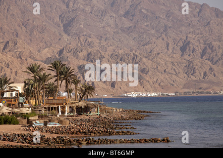 Dattelpalmen und den Strand in Dahab, Sinai, Ägypten, Afrika Stockfoto