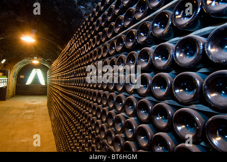 Wand der Flasche in einen Weinkeller. Stockfoto