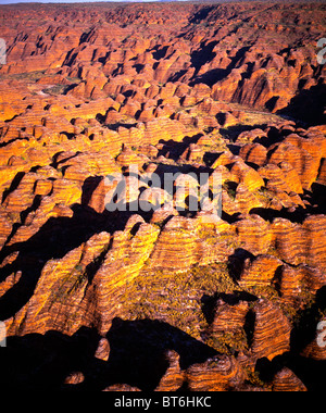 Luftaufnahme der Bungle Bungles, Purnululu National Park, Western Australia, Australien, Remote Sandstein Kuppeln und Bienenstöcke, B Stockfoto