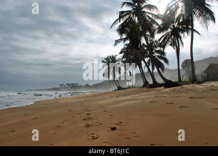 Tropischer Strand in der Nähe von Sassandra in der Elfenbeinküste, Westafrika Stockfoto