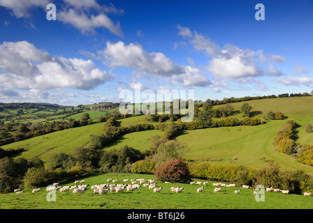 Englische Landschaft Stockfoto