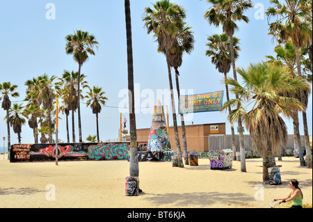Graffiti werden an der Public Art Wall in Venice Beach, Los Angeles, Kalifornien, gefördert. Es gibt sogar Graffiti auf den Palmen Stockfoto