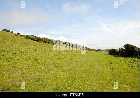 Küstenweg von Looe, Polperro, Cornwall, England, UK Stockfoto