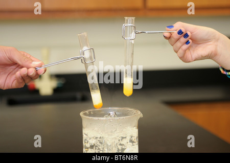 Studenten, die Durchführung einer Prüfung Benedict's Reagenz für Zucker.  Die gelb/Orange Farbe zeigt, dass Zucker in der Milch vorhanden ist. Stockfoto