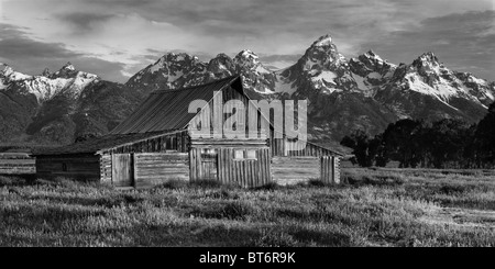 Brillantes Licht bei Sonnenaufgang leuchtet die Moulton Scheune auf Mormone Zeilen-sowie den Grand Teton im Grand Teton National Park. Stockfoto