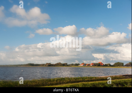 Typische holländische Landschaft mit Bauernhaus und Wasser Stockfoto