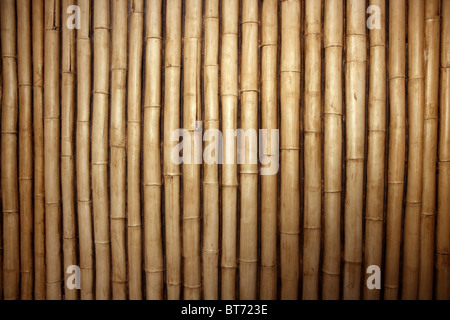 Bambus Spazierstock Zeile Anordnung Hintergrundmuster Stockfoto