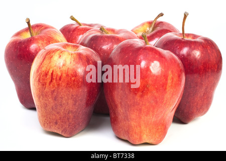 Äpfel-Gruppe isoliert auf weißem Hintergrund Stockfoto
