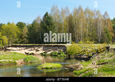 Fluss in den Wald Stockfoto