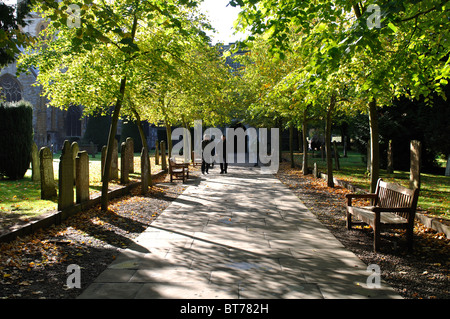 Ansatz für die Holy Trinity Church in Stratford Warwickshire, England, Vereinigtes Königreich Stockfoto