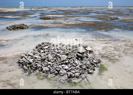 Jambiani, Sansibar, Tansania. Stapel von Steinen Mark begraben Kokosnussschalen, eine Quelle von Kokos, für Seil. Stockfoto