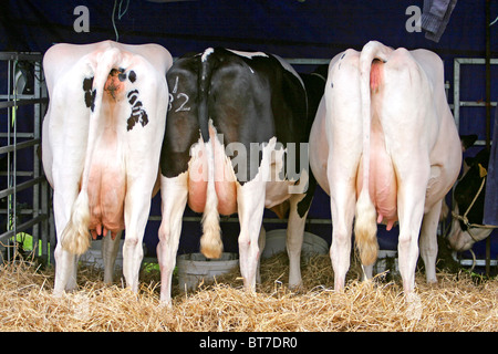 Bauernhof zeigen. Angus, Schottland. Stockfoto