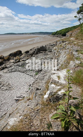 Mit Blick auf Sand über Grange entlang der Mündung des Kent, Morecambe Bay aus Arnside Knott, Cumbria, England, UK Stockfoto