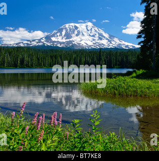 Takhlakh See und Mount Adams, Gifford Pinchot National Forest, Washington. Stockfoto