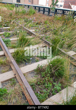 Alten Bahnlinien auf der neuen High Line erhöht angelegten Gehweg gebaut auf alte Eisenbahnviadukt in Manhattan in New York C Stockfoto