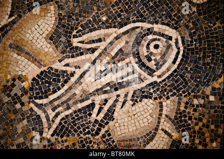 Detail aus Mosaik-Fußboden der Kirche aus dem 8. Jahrhundert von St. Stephan in Umm al-Rasas, Jordanien. Stockfoto