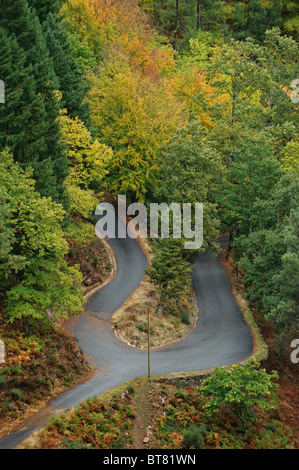 Ellenbogen-Kurve auf einem Waldweg in Serra Da Estrela, Portugal Stockfoto