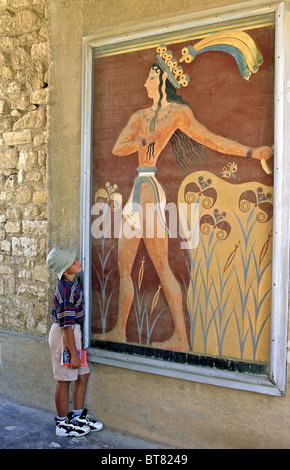 Palast von Knossos auf Kreta. Dies ist ein Fresko, bekannt als The Lily Prinz oder "Der Prinz mit den Lilien" in der Nähe der Süd-West-Ecke Stockfoto