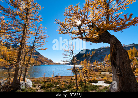 Alpine Lärchen und Perfektion See The Verzauberungen, alpinen Seen Wildnis, Washington. Stockfoto