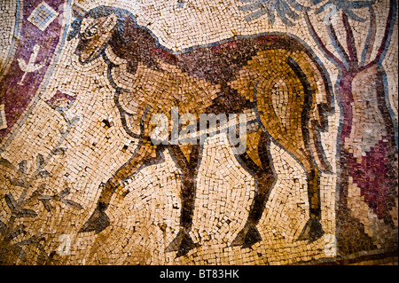 Detail aus Mosaik-Fußboden der Kirche aus dem 8. Jahrhundert von St. Stephan in Umm al-Rasas, Jordanien. Stockfoto