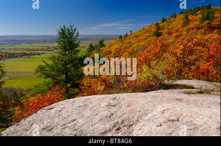 Die eardley Escarpment und Ottawa River Valley im Herbst bei tawadina Lookout Gatineau Park Quebec Kanada Stockfoto