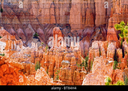 Felsformationen im Bryce Canyon in Utah Stockfoto