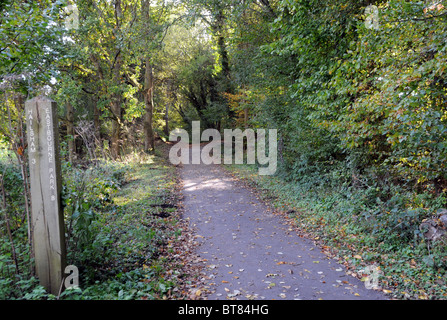 Frühen herbstlichen Farben auf der Spur der Kuckuck. Hier folgt es eine alten Eisenbahnlinie durch die Wealden-Landschaft. Stockfoto