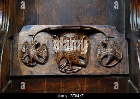 Miserikordie in St. Laurentius Kirche, Ludlow, Shropshire, England, Vereinigtes Königreich Stockfoto