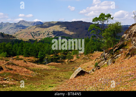 Die Langdale Pikes aus Holme fiel in der Nähe von Coniston in den Lake District National Park, Cumbria. Stockfoto