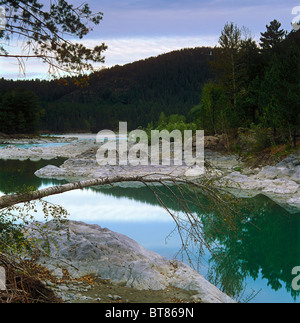 Eine Birke am Ufer des Flusses Katun. Das Altai-Gebirge, Sibirien, Russland Stockfoto