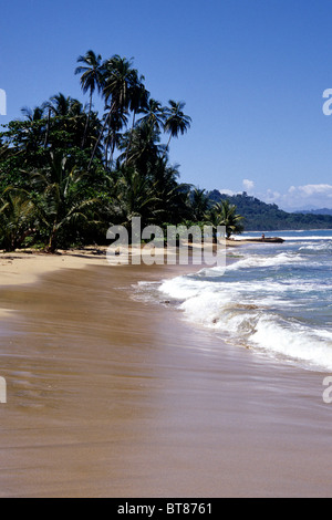 Playa Uva, tropischer Strand mit Palmen in der Nähe von Puerto Viejo de Talamanca, Nationalpark, Refugio Nacional de Vida Silvestre Stockfoto