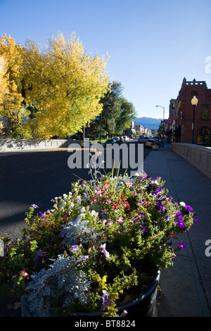 Blick auf Blumen und F Street, die Hauptstraße durch die Altstadt in den kleinen Berg Stadt Salida, Colorado, USA Stockfoto