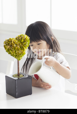 Mädchen Bewässerung eine Zimmerpflanze Stockfoto