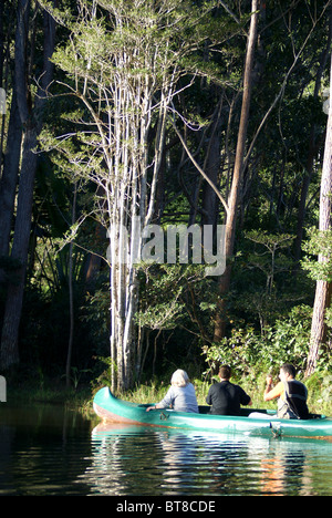 Madagaskar, Vakona Forest, Touristen Kanufahren im Fluss Stockfoto