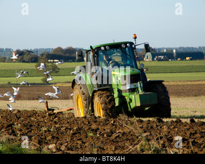 John Deere 6930 Traktor pflügen ein Feld auf einen hellen und sonnigen Oktobertag, gefolgt von Möwen fliegen auf der Suche nach Nahrung Stockfoto