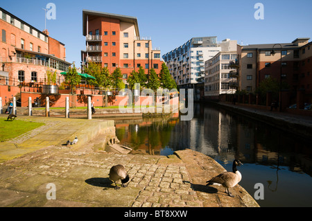 Die Rochdale Kanal in der Nähe von Stadtzentrum von Manchester.  Manchester, England, Vereinigtes Königreich Stockfoto