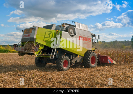 CLAAS Lexion 450 Mähdrescher schneiden Mais / Maisernte - Indre-et-Loire, Frankreich. Stockfoto