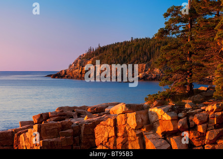 Ersten Sonnenstrahlen der Morgendämmerung auf den Otter Klippen im Acadia National Park, Maine, USA Stockfoto