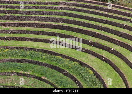 Inca landwirtschaftliche Experimentelles Zentrum in Moray, Peru, Südamerika. Stockfoto