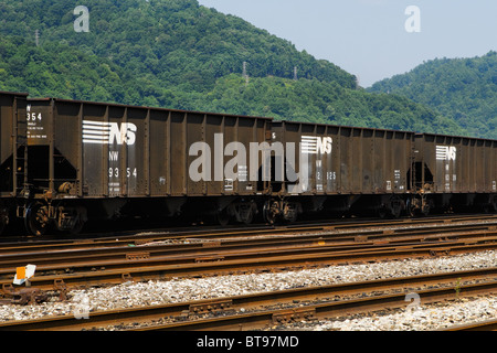 Ein Zug der Norfolk Southern Kohlenwagen in Dickinson Schiene Hof in der Nähe von South Charleston, West Virginia an einem dunstigen, trüben Tag. Stockfoto