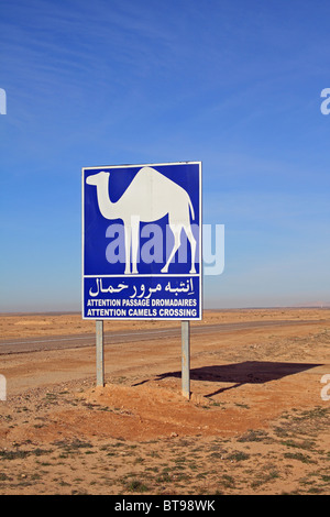 "Kamele überschreiten" Warnzeichen. In der Nähe von Tozeur, Wüste Sahara, westlichen Tunesien Stockfoto