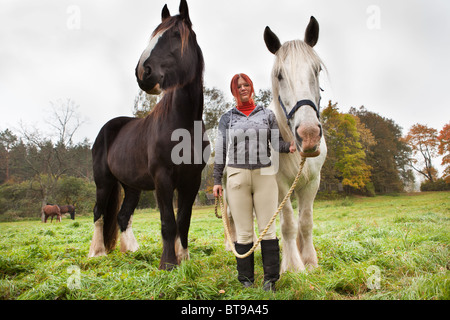 Frau mit zwei großen schwarzen und weißen Shire-Pferde auf der Weide Stockfoto